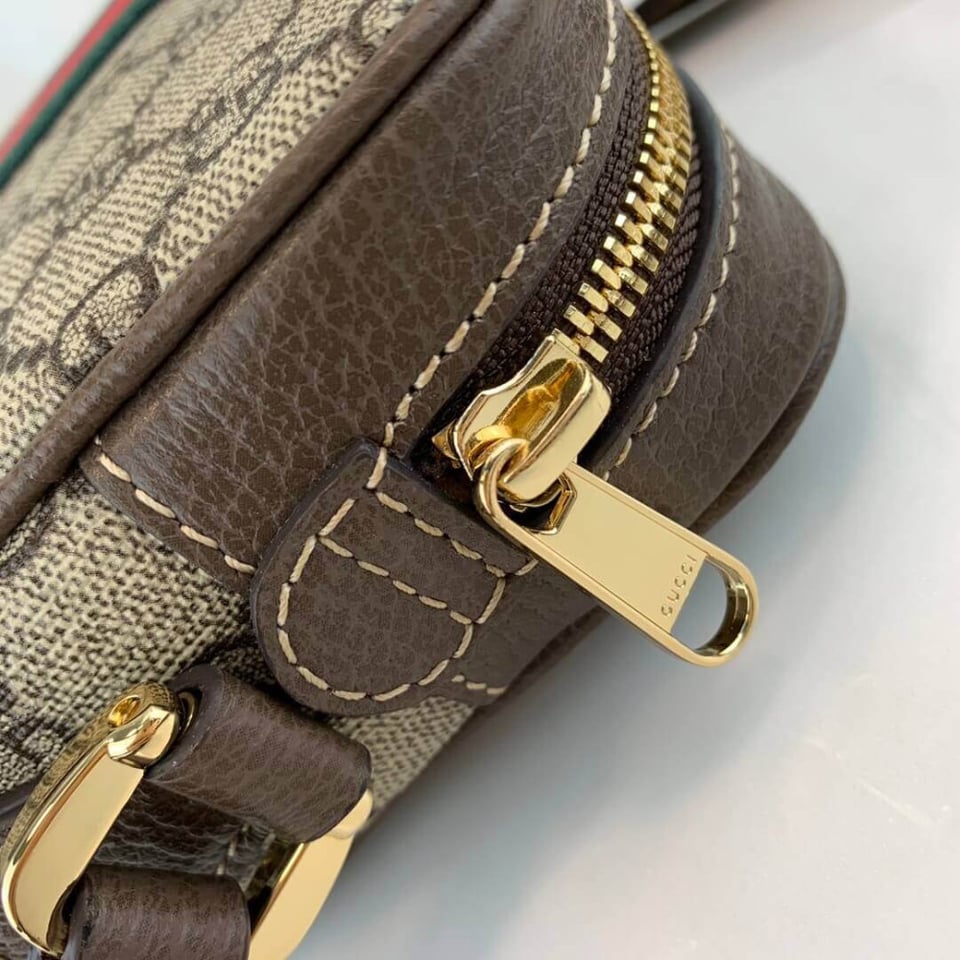 Gucci Ophidia GG Supreme Mini Bag view 14