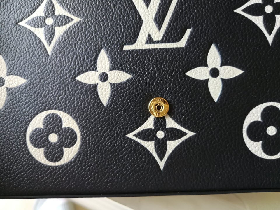 Louis Vuitton F Licie Pochette 22.5in/8.9in view 4