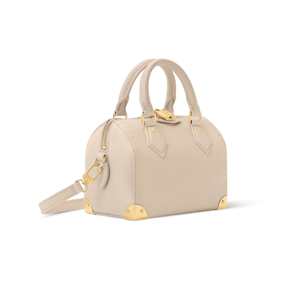 Louis Vuitton Speedy Trunk Almond Calfskin 20.5cm M29876 view 3