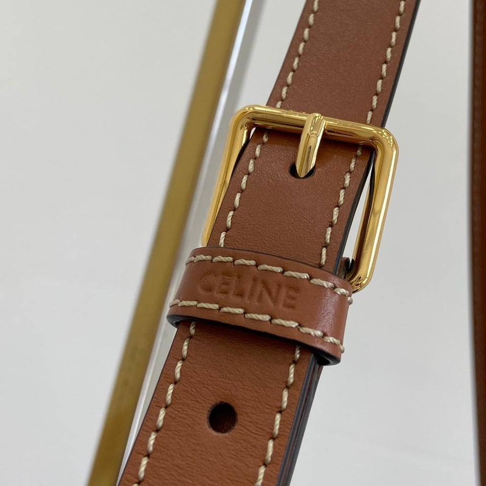 Celine Medium Bucket IN Triomphe Canvas And Calfskin 27cm/10.6in Tan Color 12500 DKK view 5