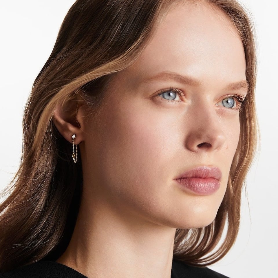 Louis Vuitton Petit Louis Earrings In Gold M00390 view 6