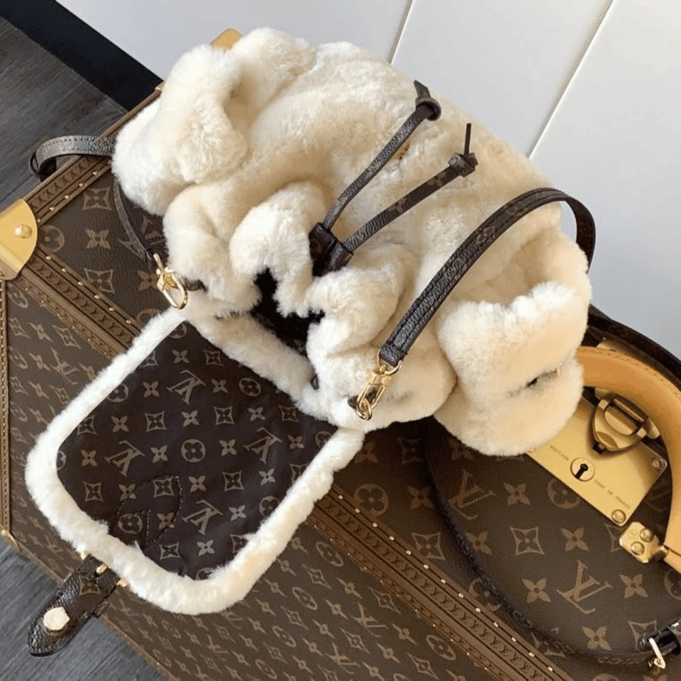 Louis Vuitton Nano Teddy Backpack view 6
