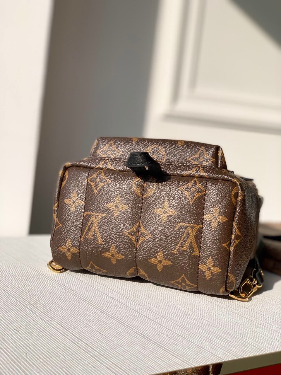 Louis Vuitton Palm Springs Backpack PM Monogram Canvas – 22cm/8.7in view 6