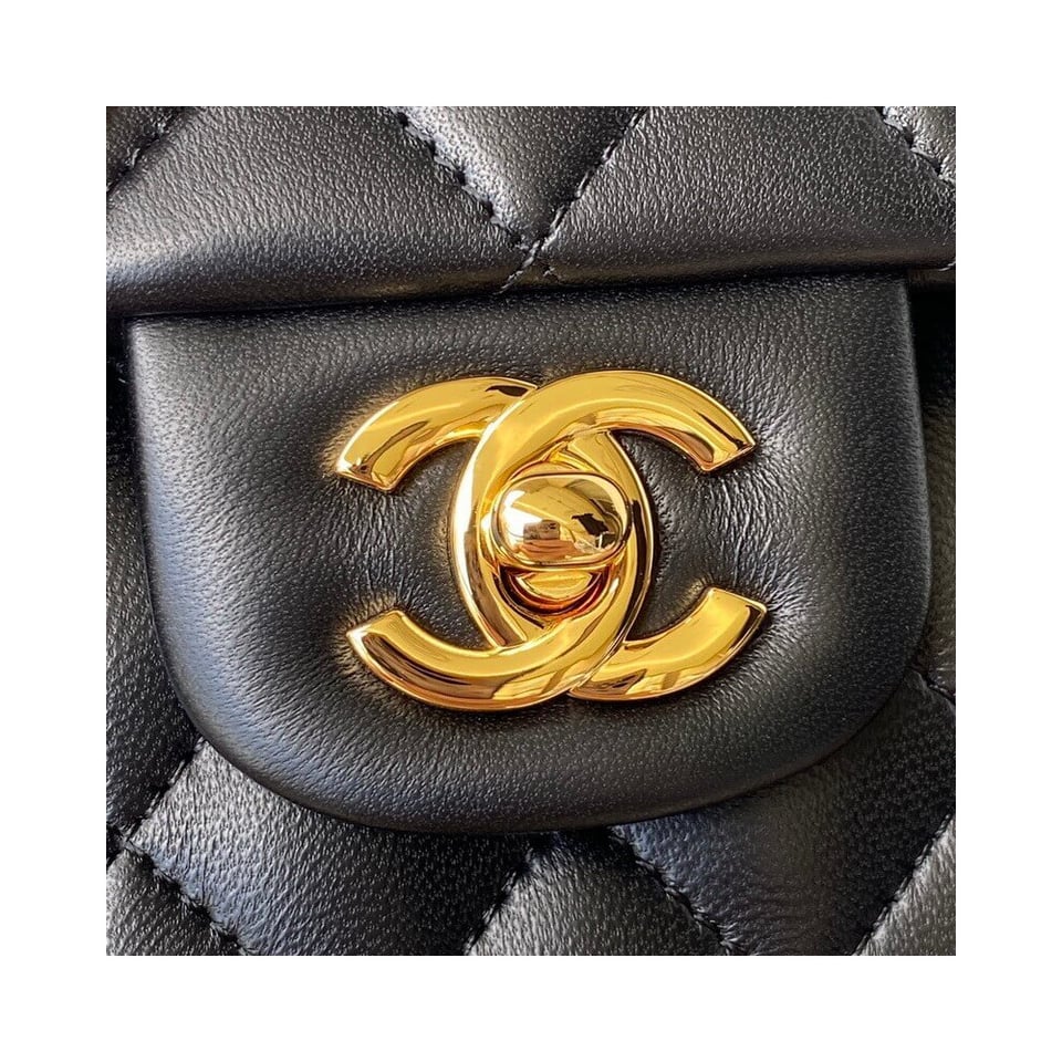 Chanel Lambskin Small Double Flap Bag 23cm view 5