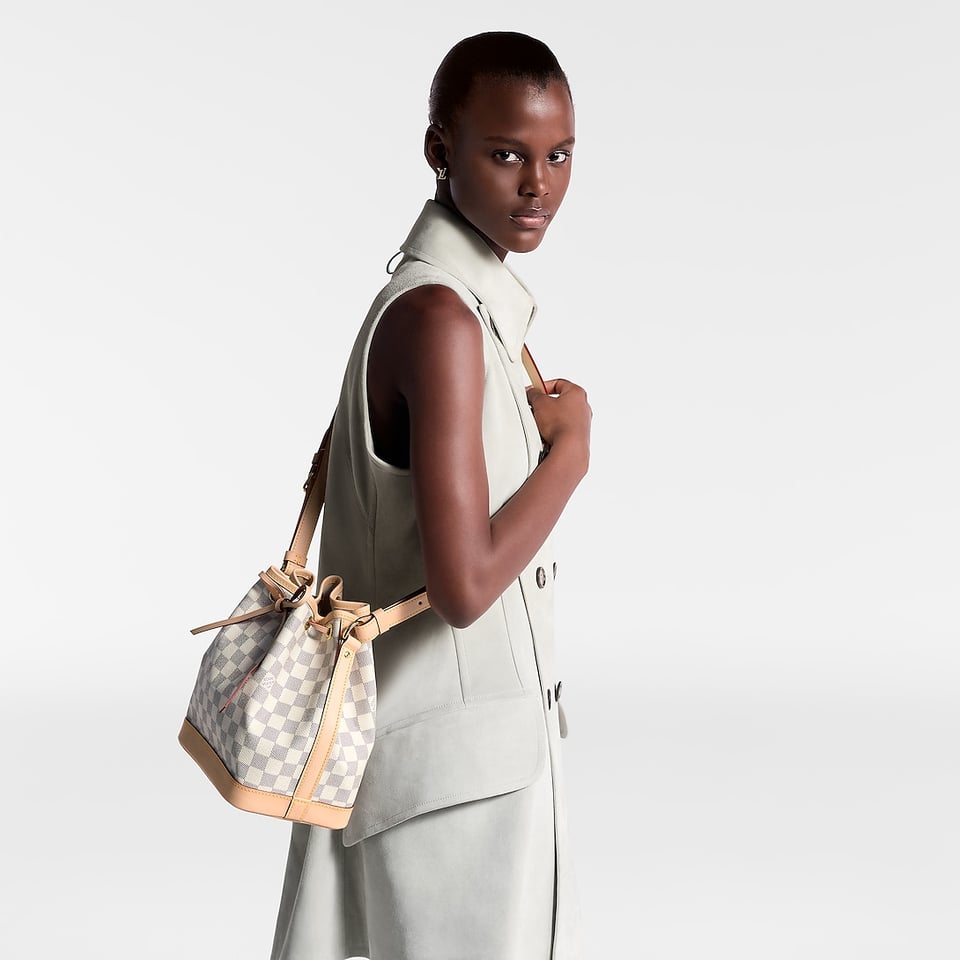 Louis Vuitton Noé Bb 24cm N40594 view 8