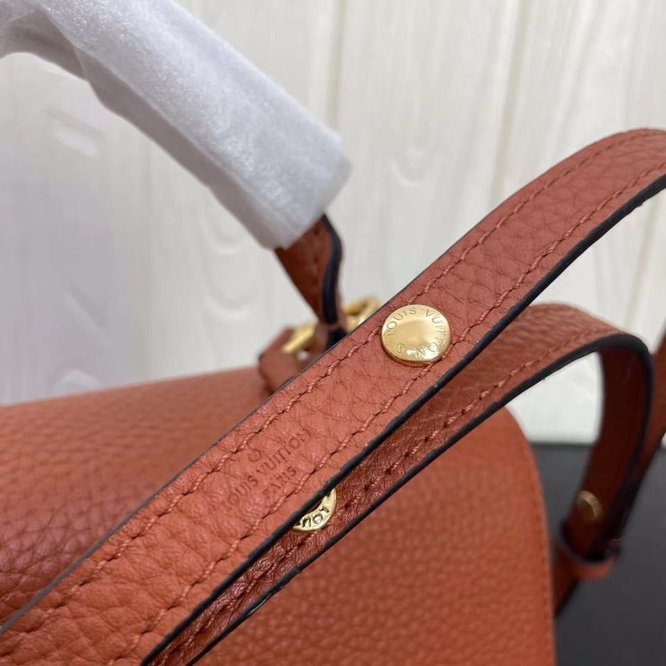 Louis Vuitton Twist One Handle Pm 25Cm Brown view 9