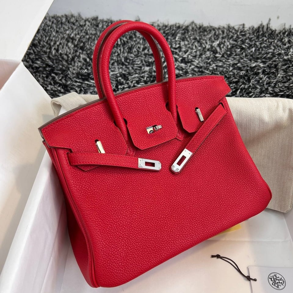 Hermes Birkin 25Cm Red Togo Leather Silver Hardware view 2