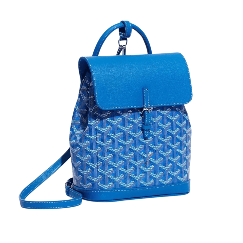 Goyard Alpin Mini Backpack 21 Cm Sapphire Blue Lambskin And Goyardine Canvas view 2