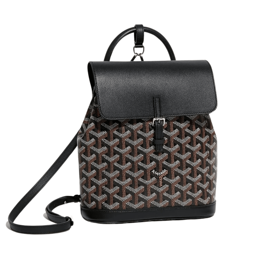 Goyard Alpin Mini Backpack 21cm Black Lambskin And Goyardine Canvas view 2