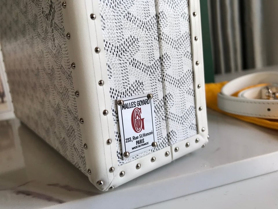 Goyard Grand Hôtel Trunk Bag 24.5cm White Goyardine Canvas And Calfskin view 4
