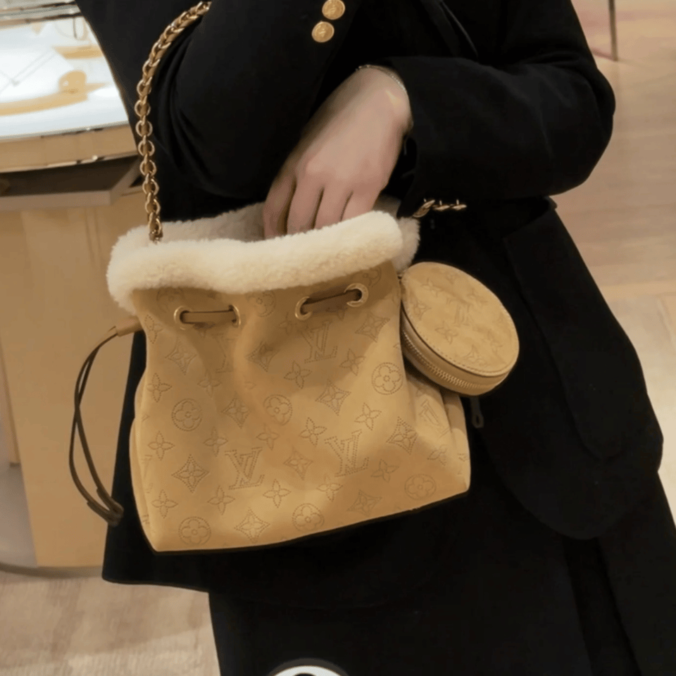Louis Vuitton Shearling Bucket Bag 22cm/8.7in M11839 view 3