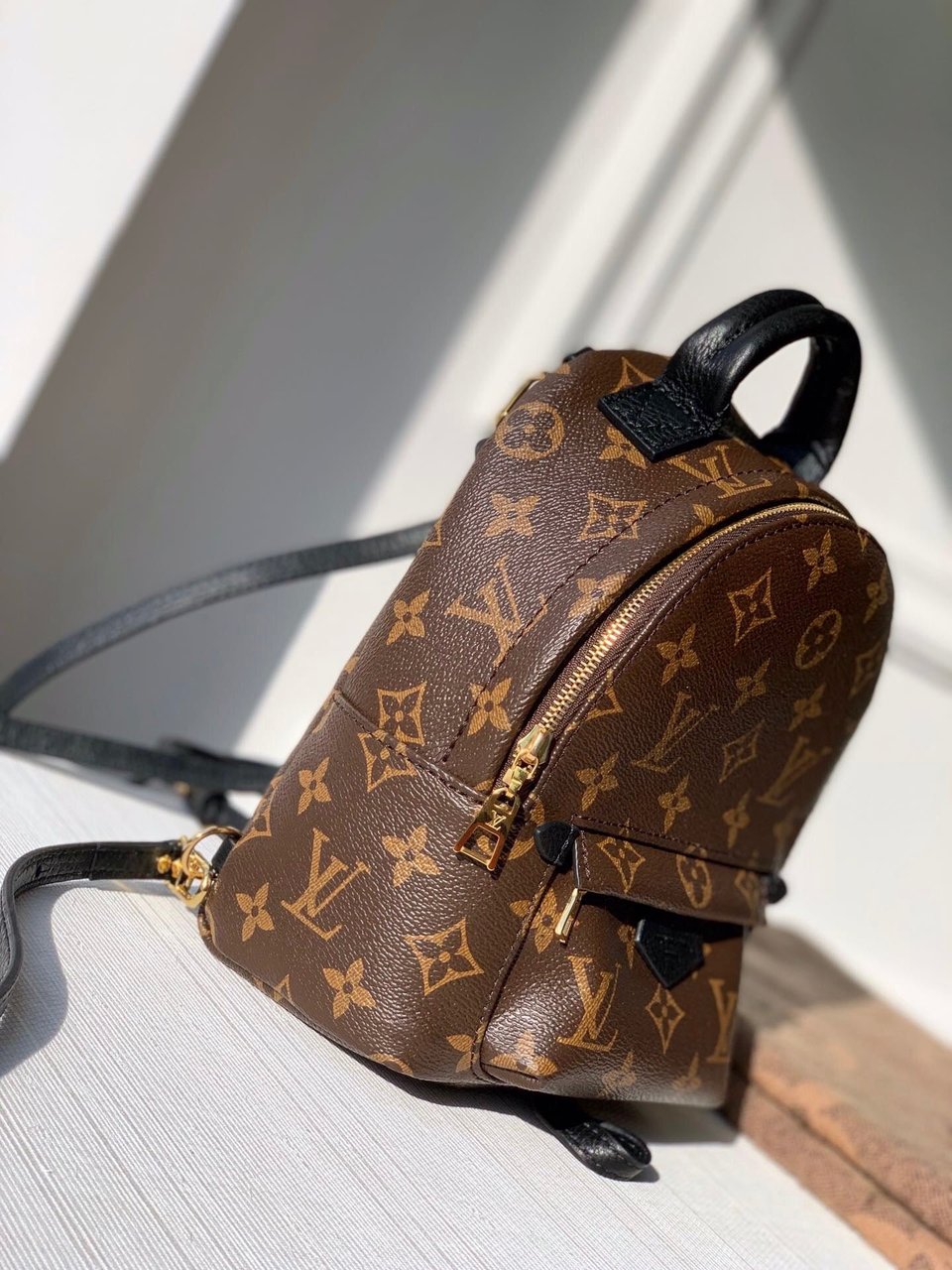 Louis Vuitton Palm Springs Backpack PM Monogram Canvas – 22cm/8.7in view 11