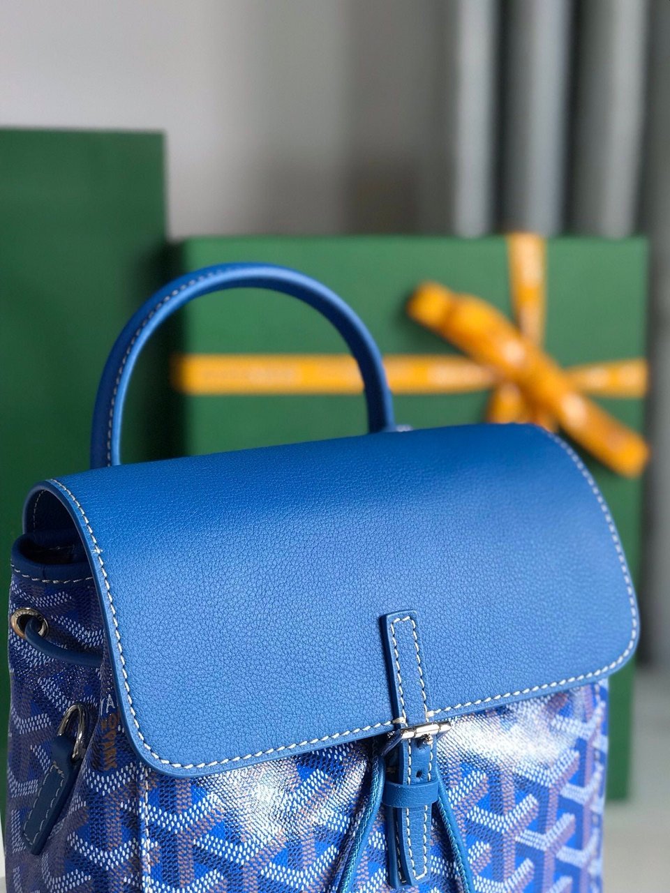 Goyard Alpin Mini Backpack 21 Cm Sapphire Blue Lambskin And Goyardine Canvas view 10
