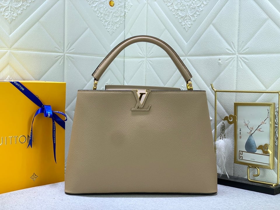 Louis Vuitton Capucines Mm Grey view 5