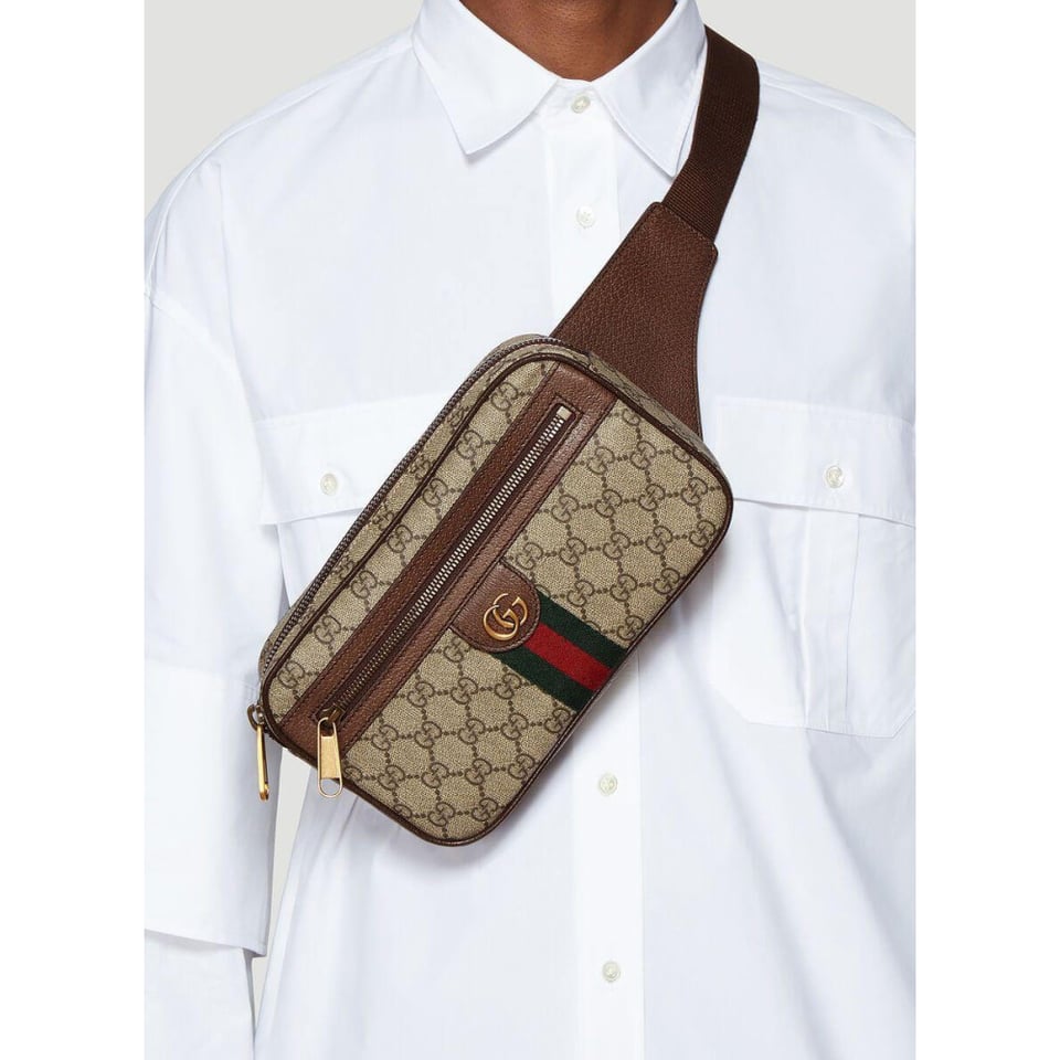 Gucci Ophidia GG Belt Bag view 4