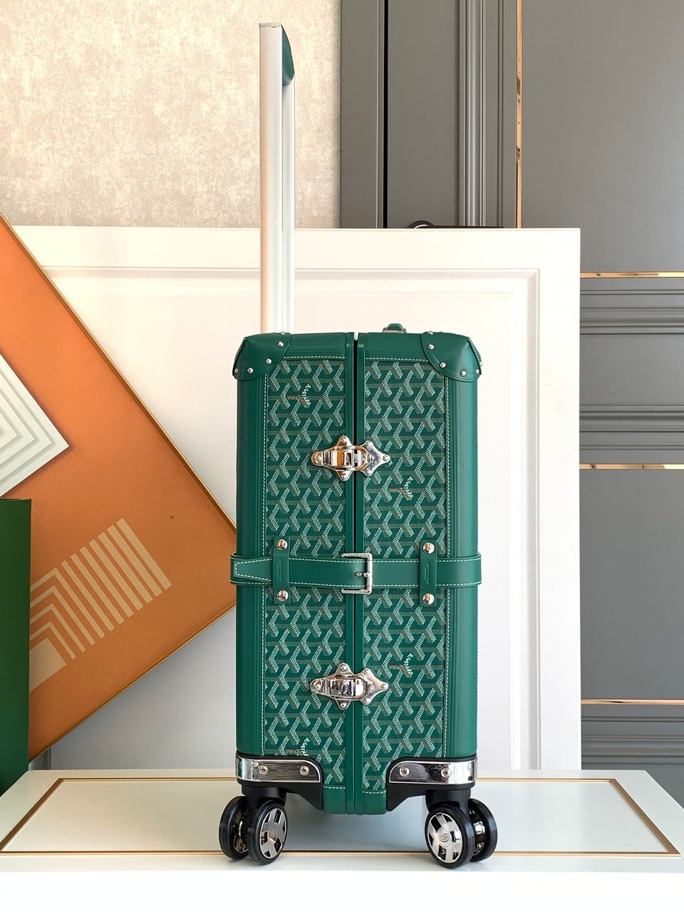 Goyard 50cm view 8