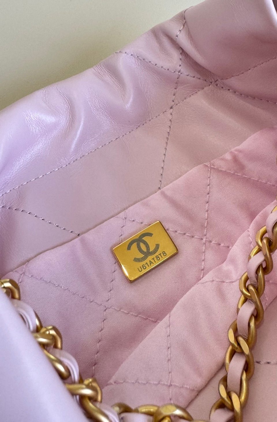 Chanel Hobo Mini 20Cm Candy Lambskin view 6
