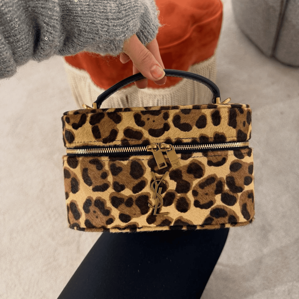 Saint Laurent Leopard Haircalf Vanity Bag with YSL Monogram 18cm view 3