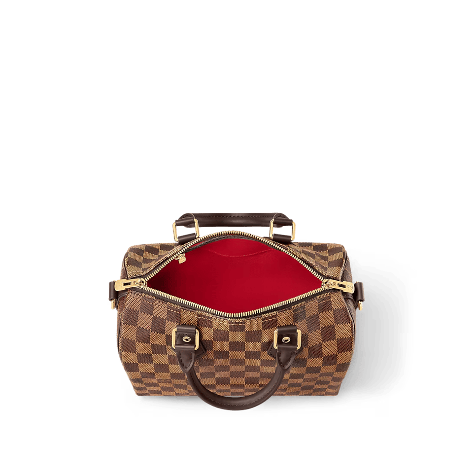 Louis Vuitton Speedy Bandouliere 25 Damier Ebene Canvas 25cm N40575 view 5