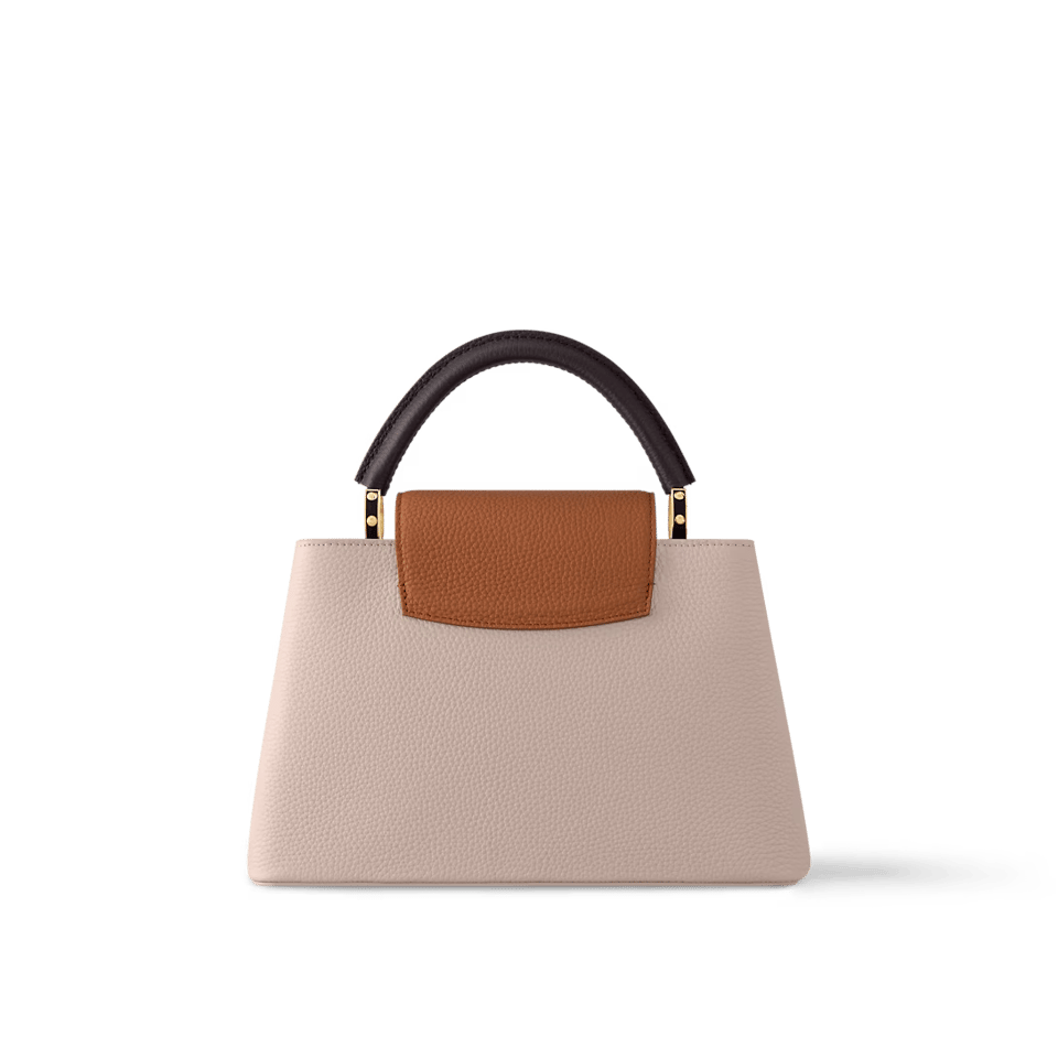 Louis Vuitton Capucines MM M12956 Gray 31.5cm/ 12.2in view 5