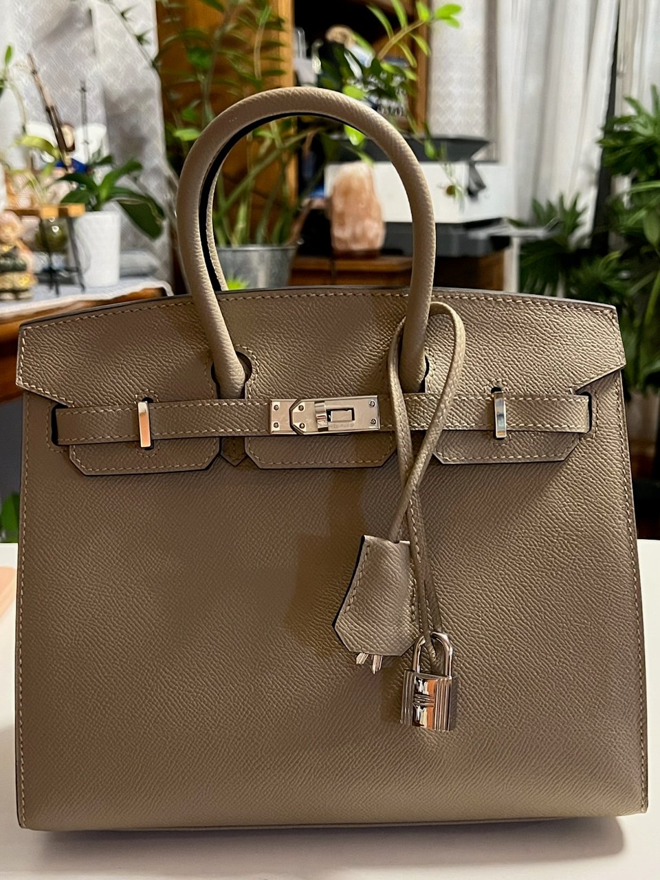 Hermes Birkin 25Cm EP-214 Togo Leather Silver Hardware