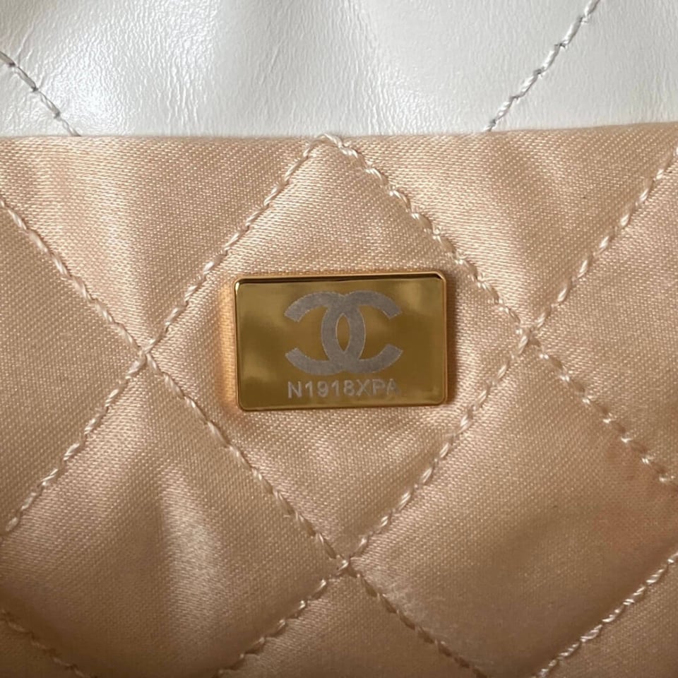 Chanel 22 Mini Bag in Shiny Calfskin view 13