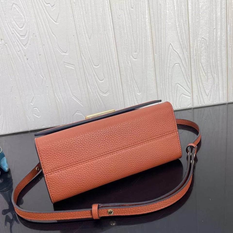Louis Vuitton Twist One Handle Pm 25Cm Brown view 10