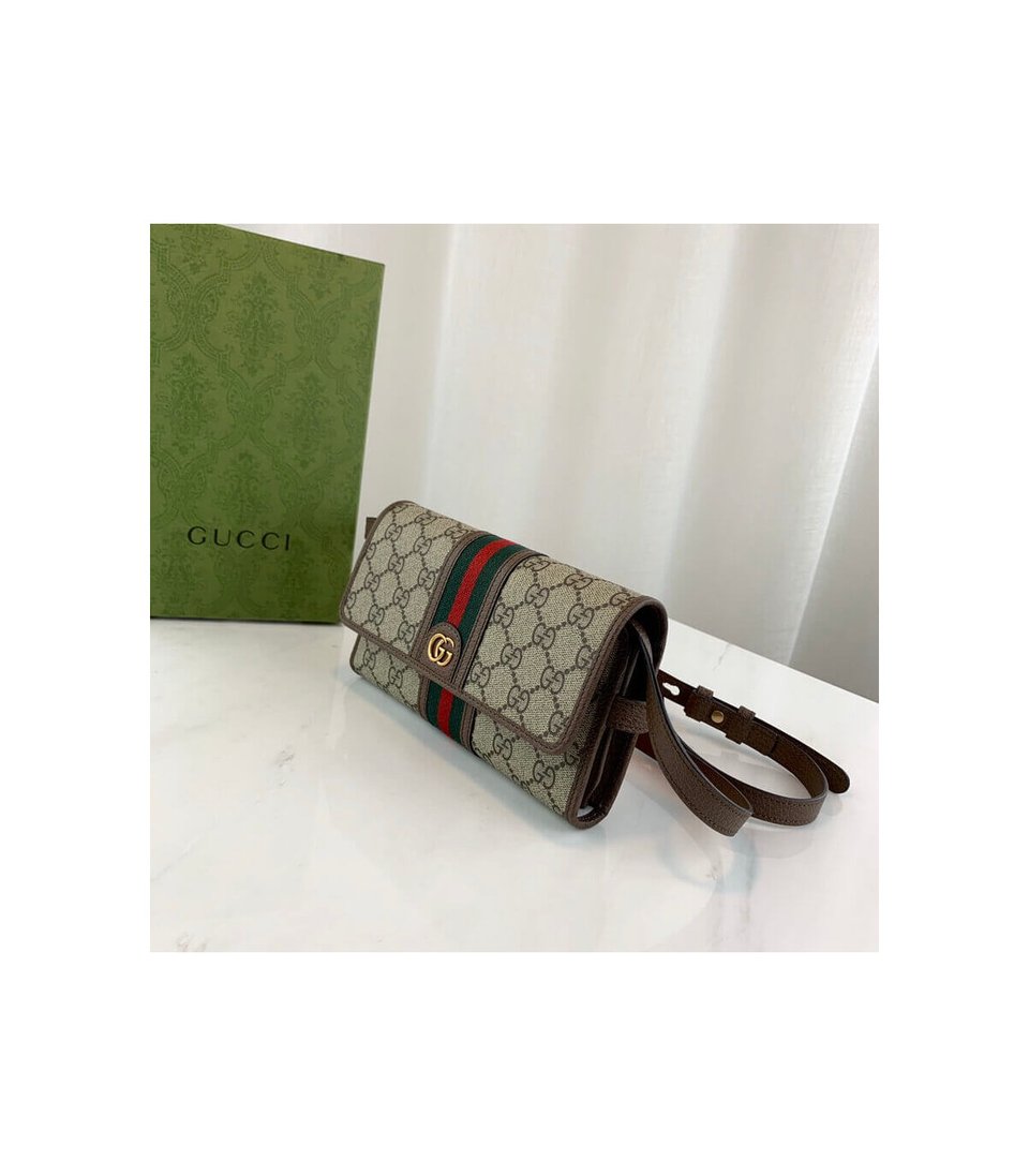 Gucci Ophidia Mini Bag view 5