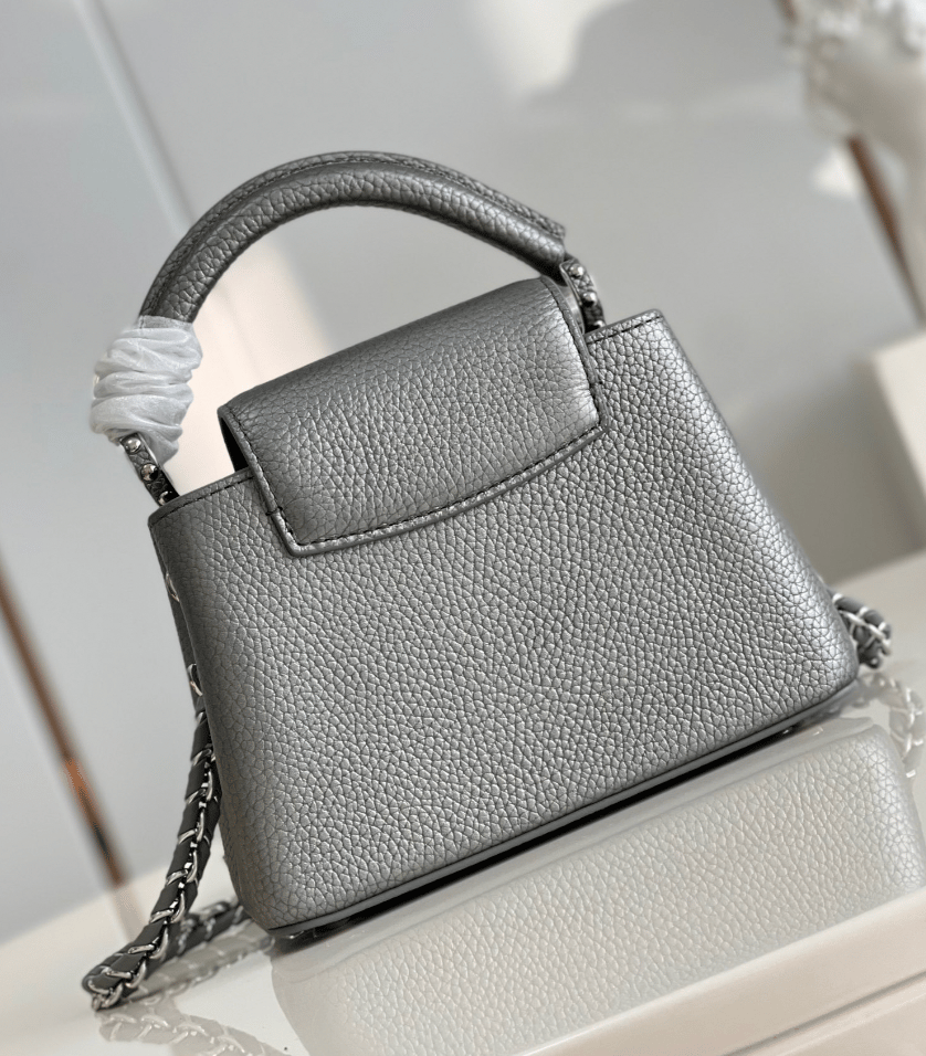 Louis Vuitton Capucines Gray 21Cm view 11