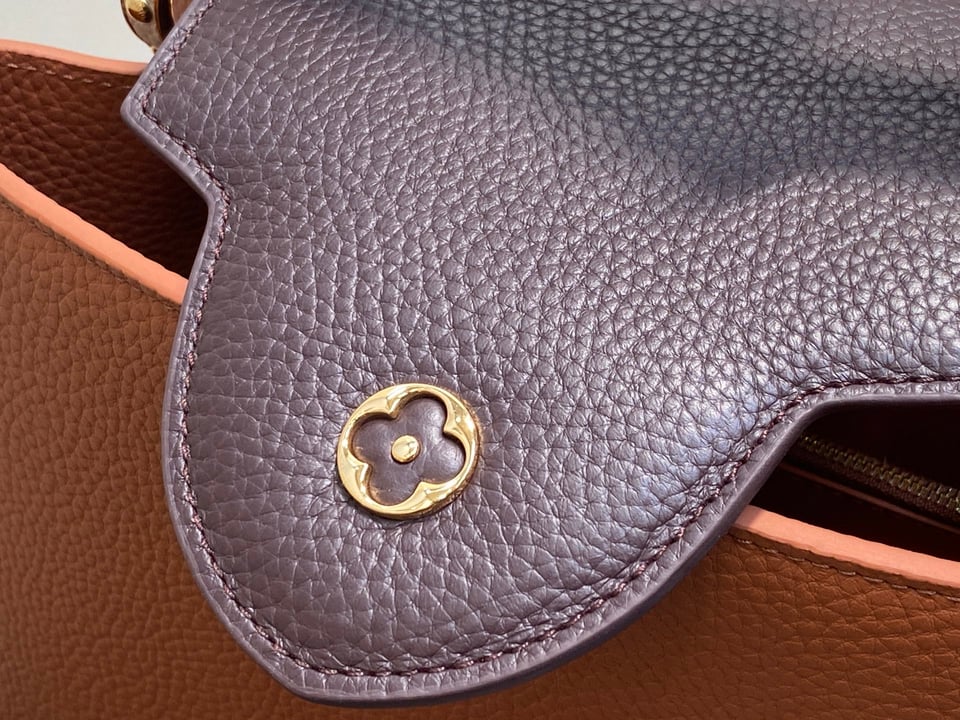 Louis Vuitton Capucines MM M14176 Brown 31.5cm/ 12.2in view 10