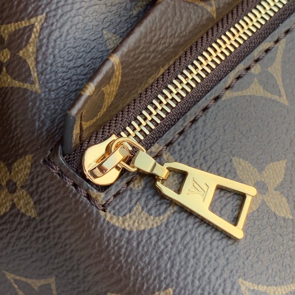 Louis Vuitton Montsouris Pm 27Cm M45515 view 7