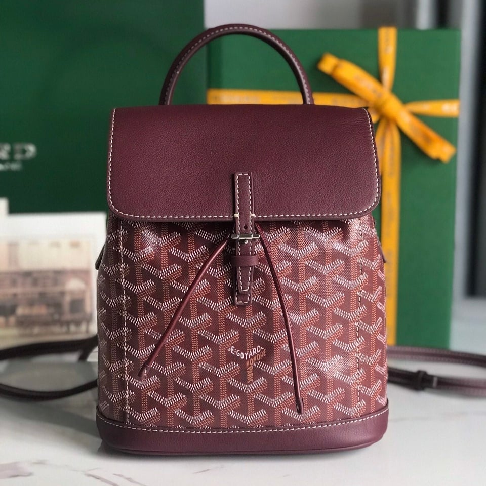 Goyard Alpin Mini Backpack 21 Cm Wine Red Lambskin And Goyardine Canvas view 10