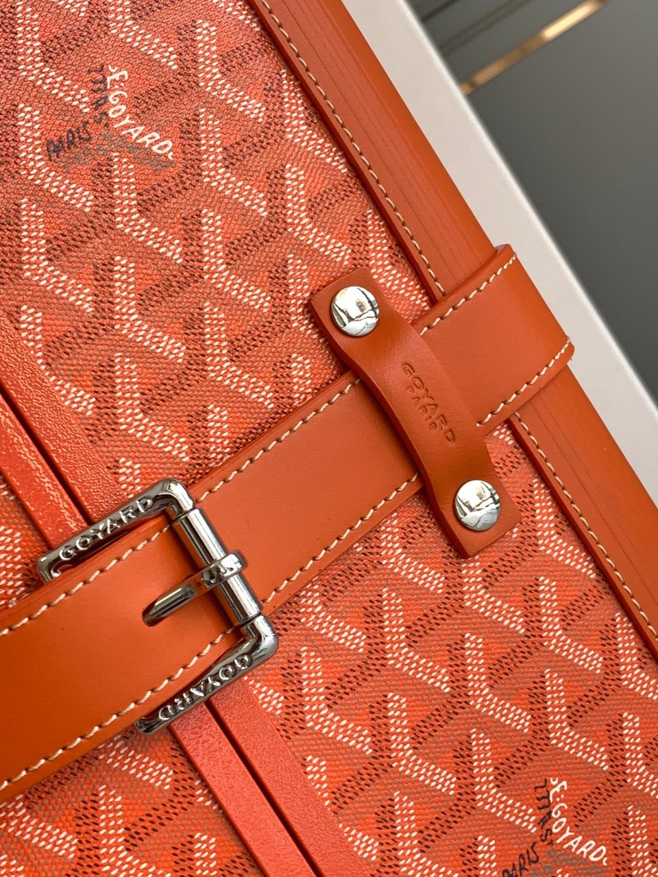 Goyard 50cm view 5