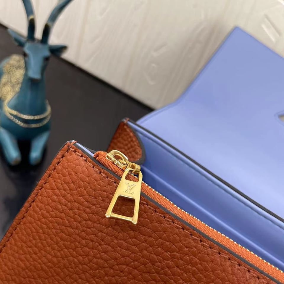 Louis Vuitton Twist One Handle Pm 25Cm Brown view 4