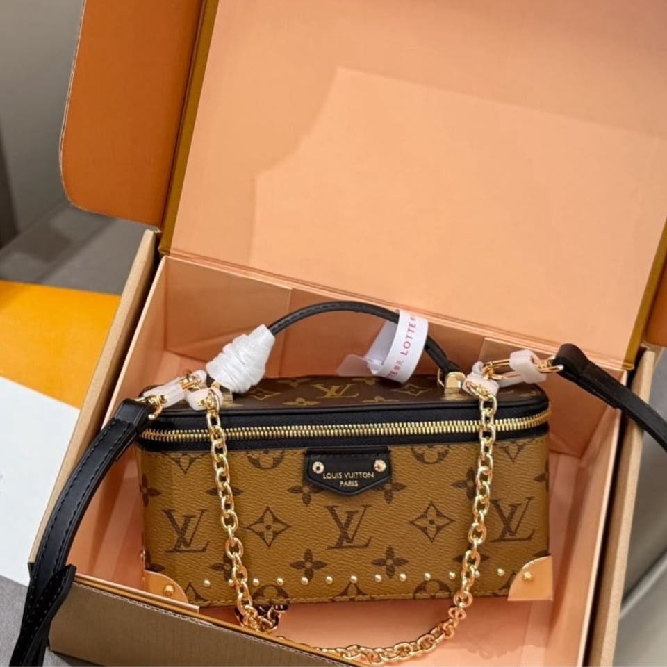 Louis Vuitton Vanity Pouch Trunk 20cm M29548 view 7