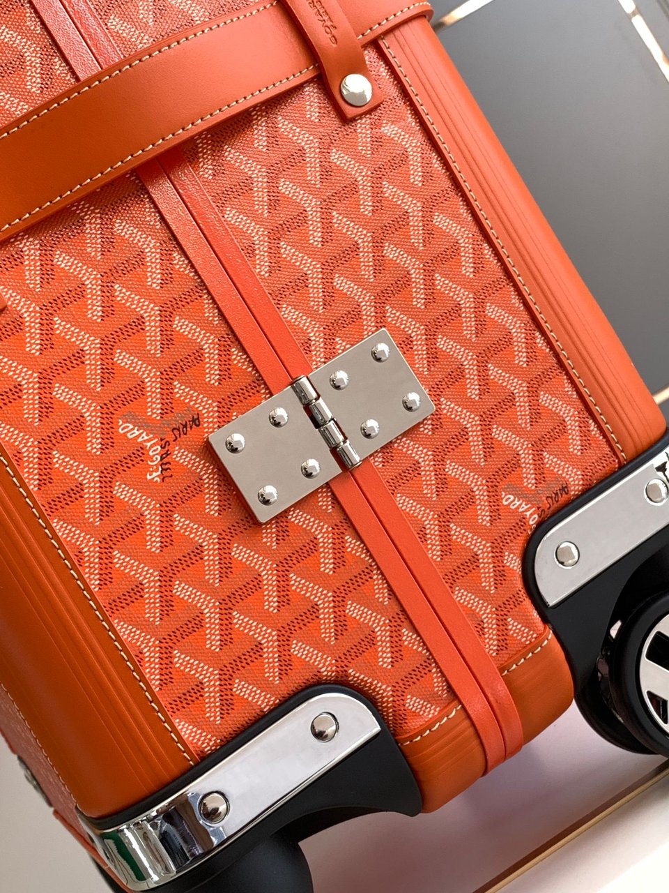 Goyard 50cm view 6