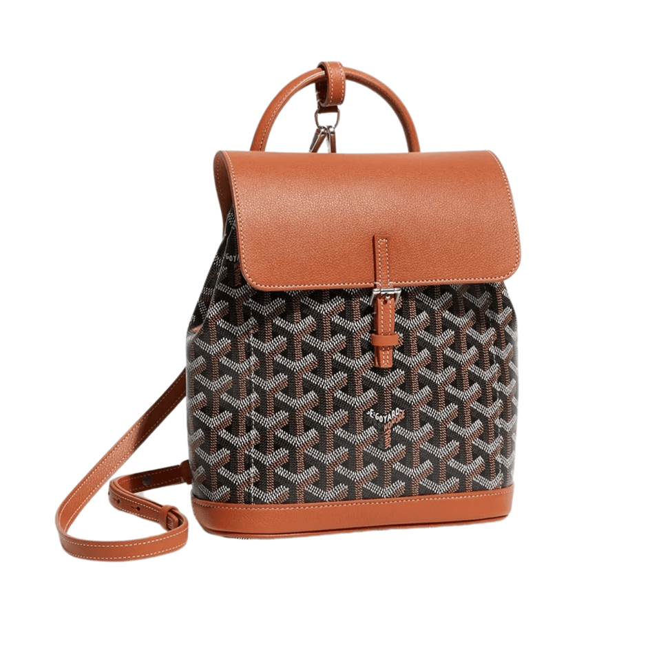 Goyard Alpin Mini Backpack 21 Cm Tan Lambskin And Black Goyardine Canvas view 2
