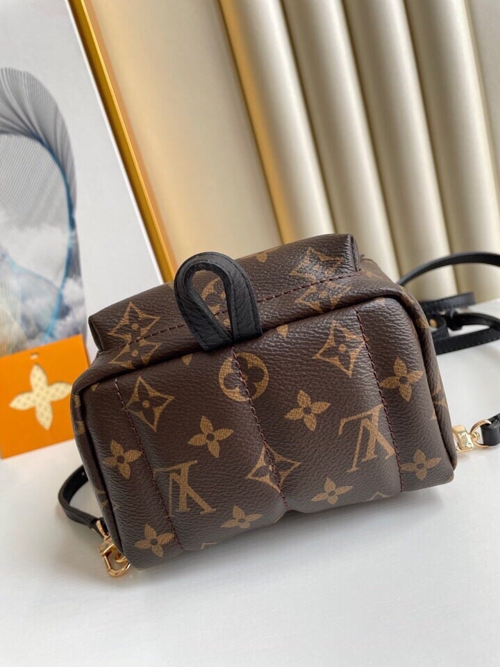 Louis Vuitton Palm Springs Backpack Mini Monogram Canvas – 17cm/6.7in view 8