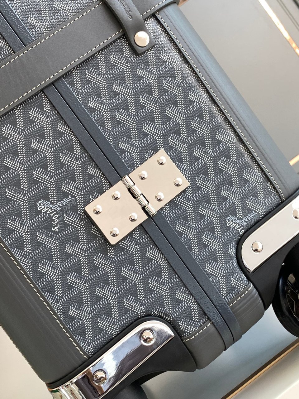 Goyard 50cm view 4