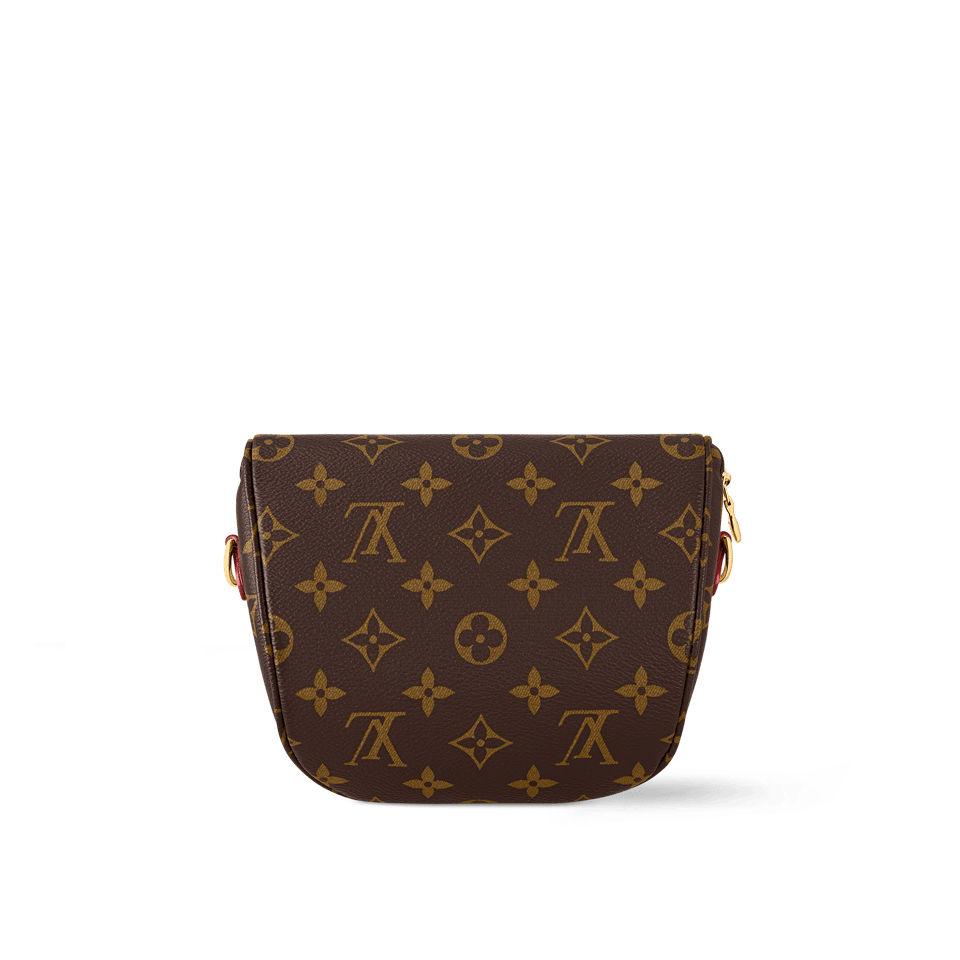 Louis Vuitton Mini Bumbag Lv Monogram Small Fanny Pack Monogram 17cm M82335 view 14