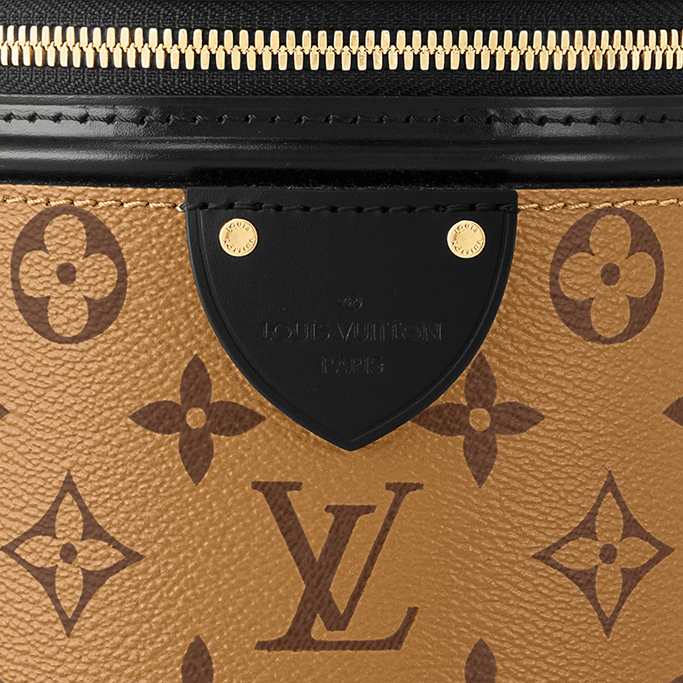 Louis Vuitton Louis Vuitton Monogram Cannes Handbag Cannes view 5