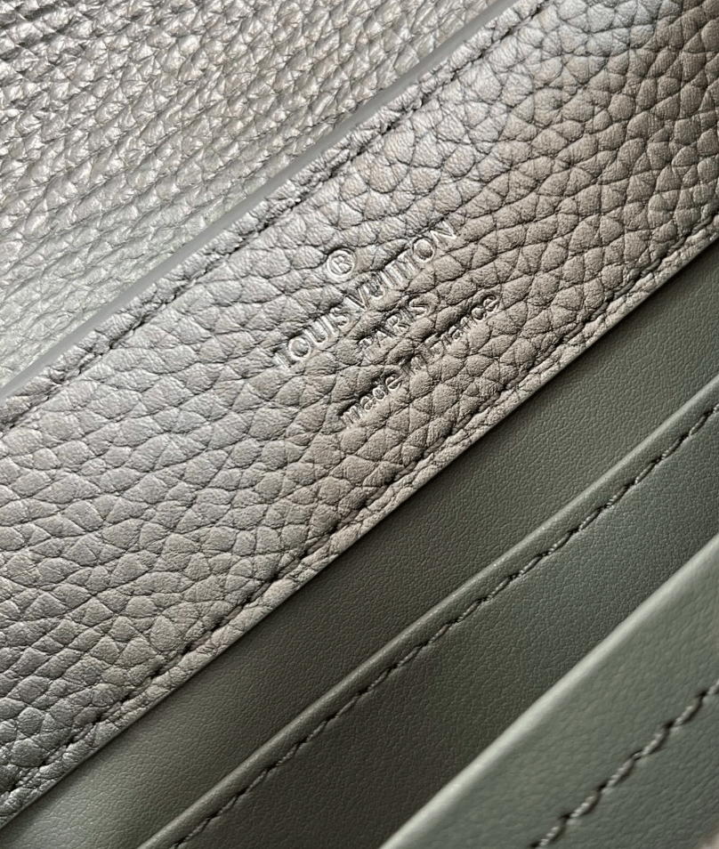 Louis Vuitton Capucines Gray 21Cm view 4
