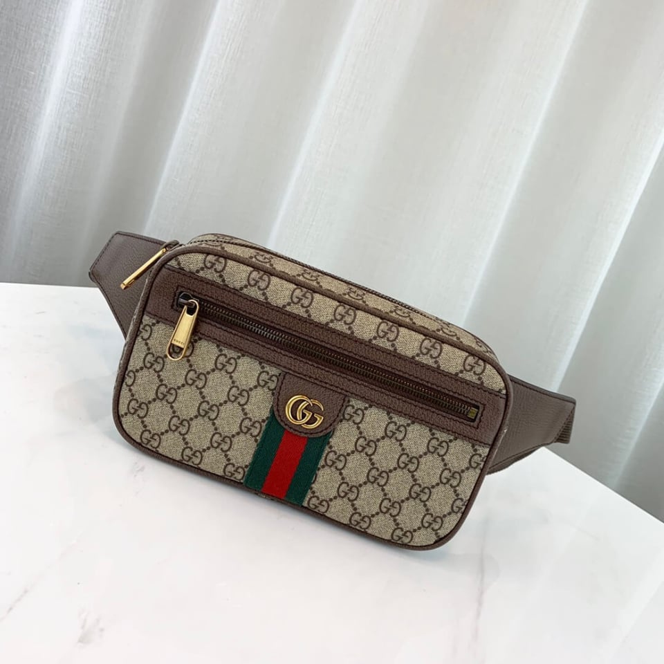Gucci Ophidia GG Belt Bag view 6