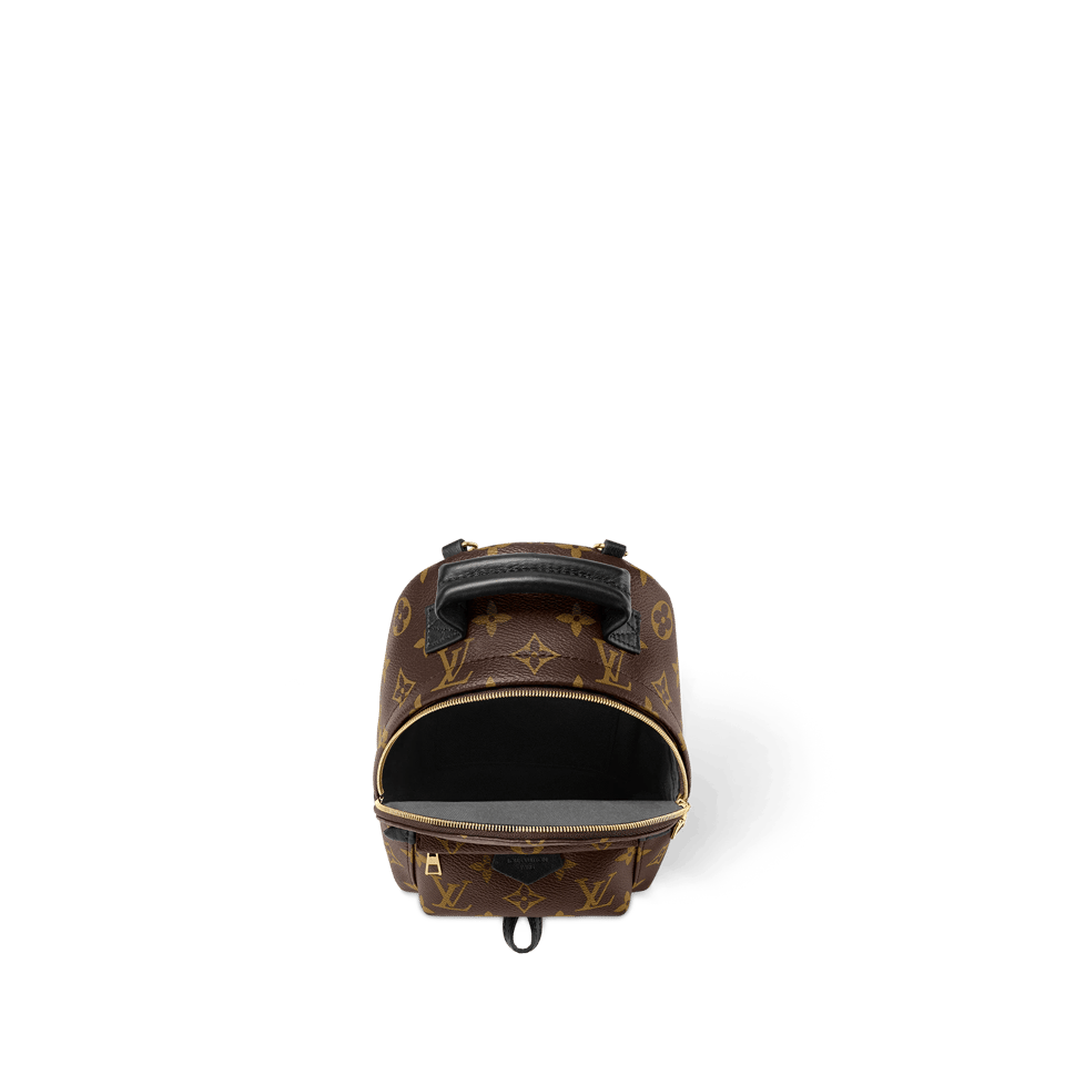Louis Vuitton Palm Springs Backpack Mini Monogram Canvas – 17cm/6.7in view 5