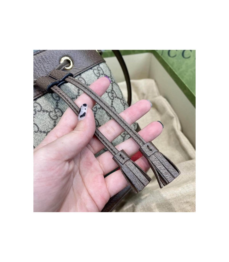 Gucci Ophidia Mini GG Bucket Bag view 15