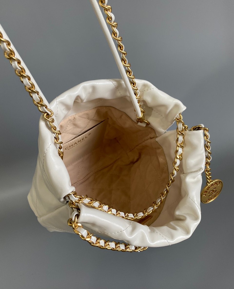 Chanel Hobo Mini 20Cm White Lambskin Ghw view 5