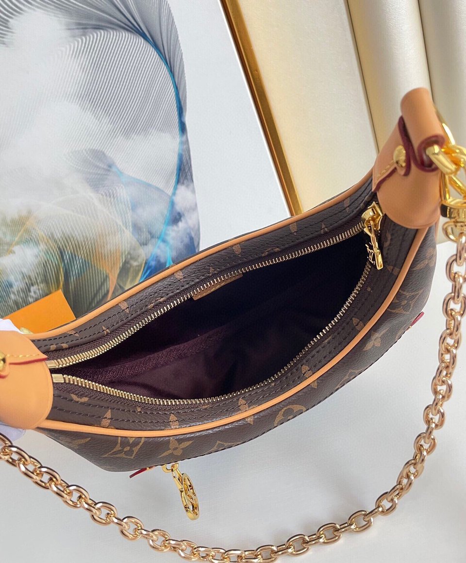 Louis Vuitton Loop Bag Monogram Canvas M81098 23cm/9.1in view 16