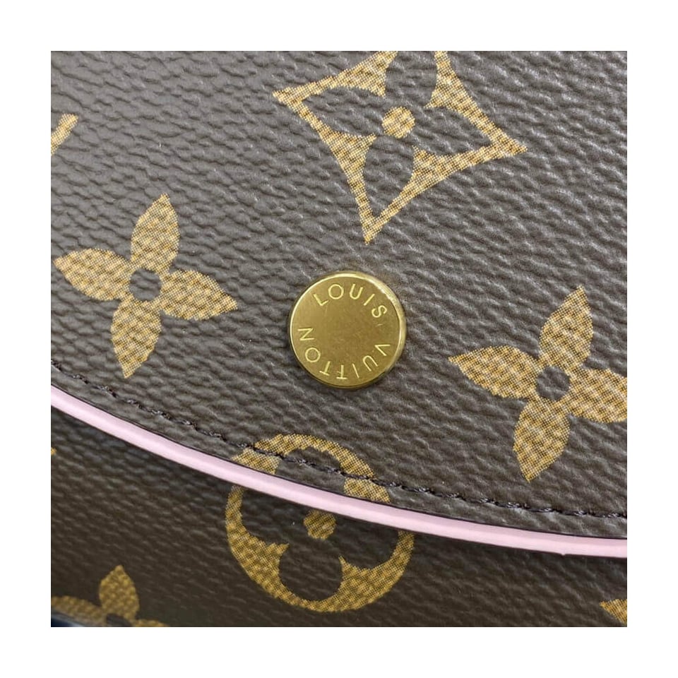 Louis Vuitton Monogram Canvas Ariane Wallet view 8