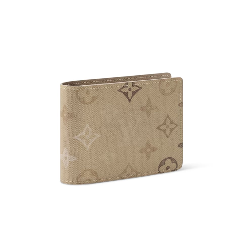 Louis Vuitton Multiple Wallet For Men 11.5cm M29265 view 2
