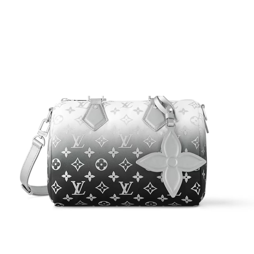 Louis Vuitton Speedy Bandouliere 25 Frost Gardiant Silver 25cm M11848 view 2